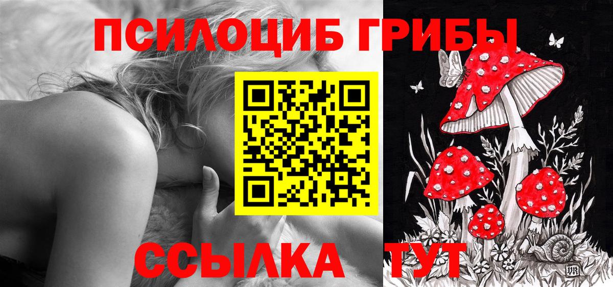 Галлюциногенные грибы ЛСД  Галлюциногенные грибы прущие грибы  Борзя  Вход с VPN 