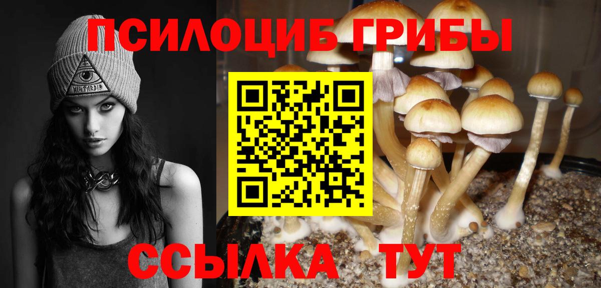 Галлюциногенные грибы Psilocybine cubensis Борзя